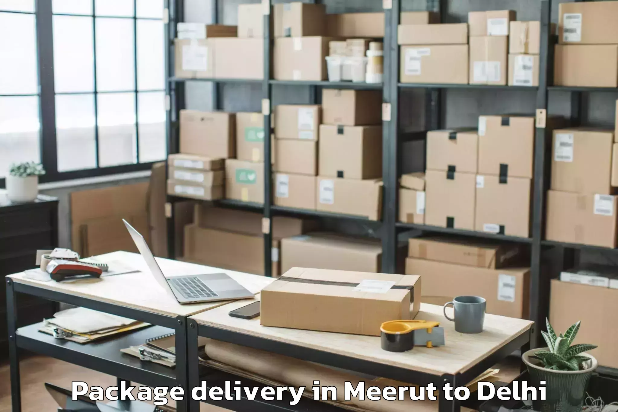 Book Meerut to Nit Delhi Package Delivery Online